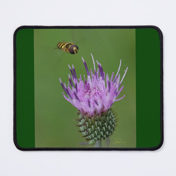Item preview, Tall Thistle with Hoverfly designed and sold by Dunnette Imaging.