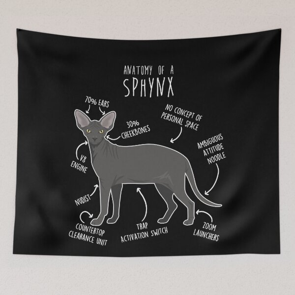 Item preview, Black Sphynx Cat Anatomy designed and sold by Clara Hollins.
