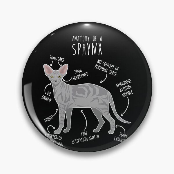 Item preview, Tabby Sphynx Cat Anatomy designed and sold by Clara Hollins.