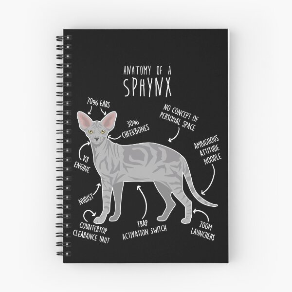 Item preview, Tabby Sphynx Cat Anatomy designed and sold by Clara Hollins.