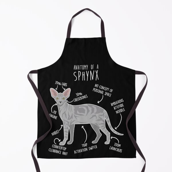 Item preview, Tabby Sphynx Cat Anatomy designed and sold by Clara Hollins.