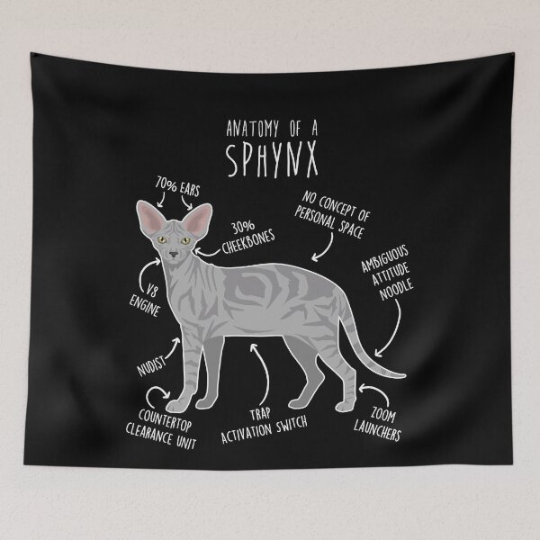 Item preview, Tabby Sphynx Cat Anatomy designed and sold by Clara Hollins.