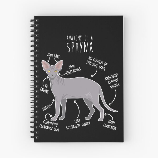 Item preview, Blue Sphynx Cat Anatomy designed and sold by Clara Hollins.