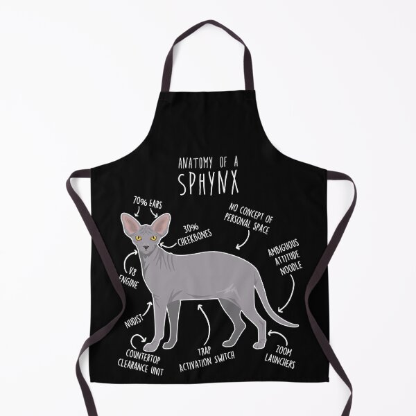 Item preview, Blue Sphynx Cat Anatomy designed and sold by Clara Hollins.