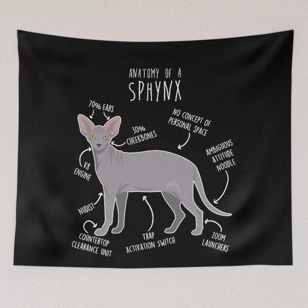 Item preview, Blue Sphynx Cat Anatomy designed and sold by Clara Hollins.