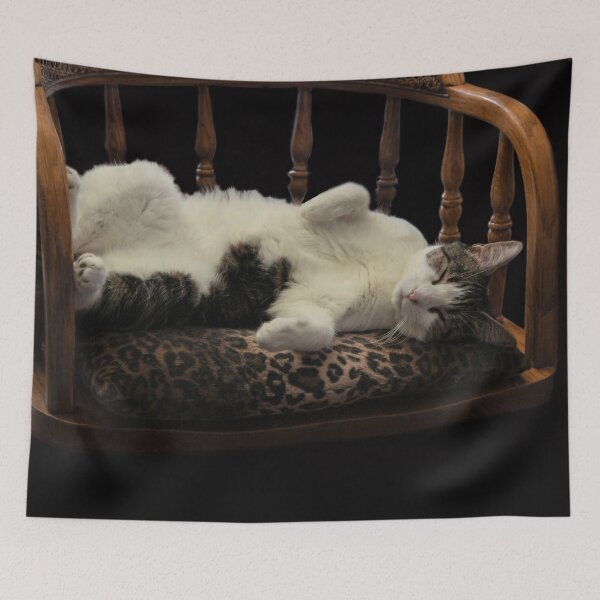 Item preview, Sophia Sleeping designed and sold by heatherfriedman.