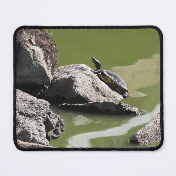 Item preview, Enjoying the Sun designed and sold by heatherfriedman.
