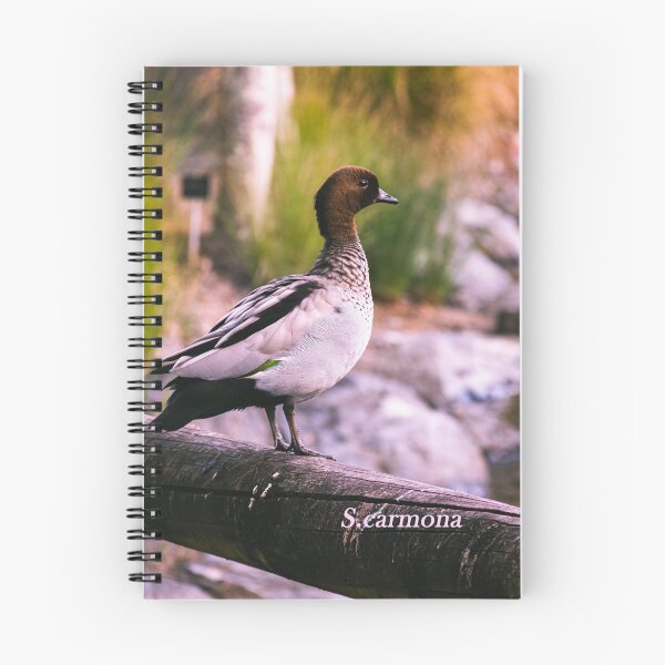 Item preview, Peaceful Duck on Wooden Fence River Landscape Art - Queensland designed and sold by AuraInkSC.