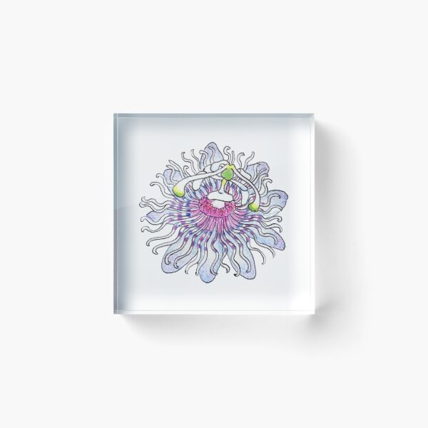 Aperçu de l'œuvre Fleur de la passion bleue créée et vendue par ABIllustrative.