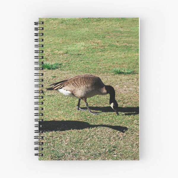 Item preview, Hey, Got Any Food For Us? designed and sold by heatherfriedman.