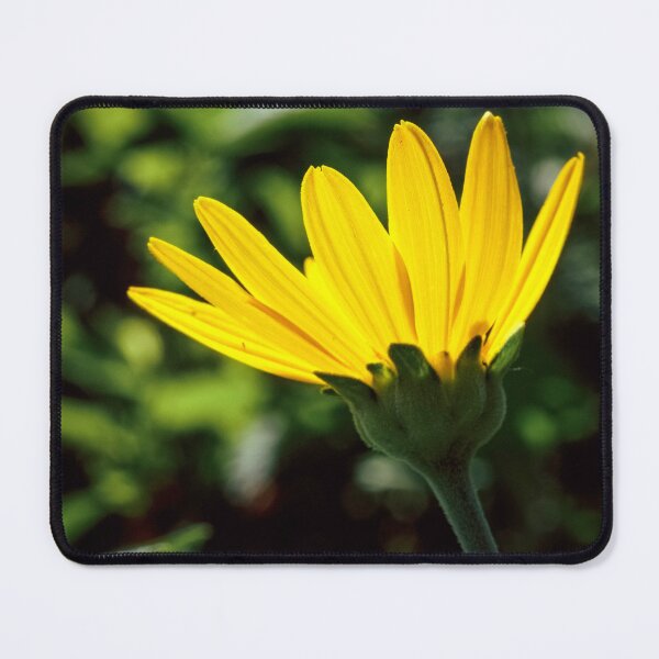 Item preview, Golden bloom reaching to the sun designed and sold by Joel Bader.