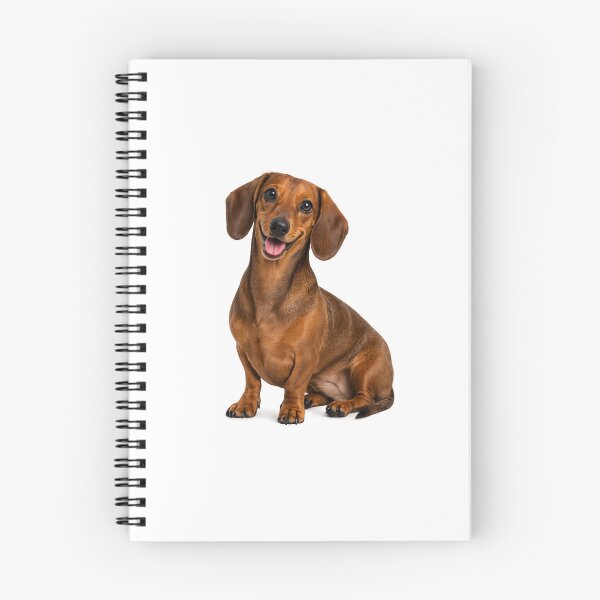 Item preview, Dachshund Dog designed and sold by BackgroundND.