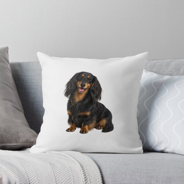 Item preview, Long haired dachshund dog designed and sold by BackgroundND.