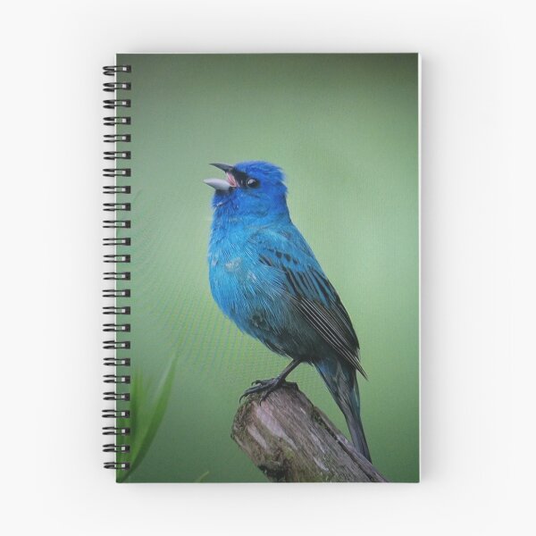 Item preview, Blue Bird on a Branch designed and sold by litusxca.