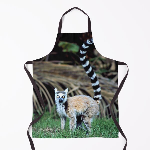 Item preview, Ring-tailed Lemur Original Photo Art From Madagascar Rainforest designed and sold by DEC02.
