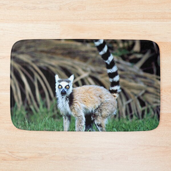Item preview, Ring-tailed Lemur Original Photo Art From Madagascar Rainforest  designed and sold by DEC02.