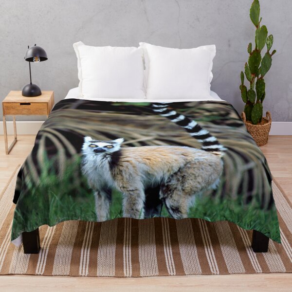 Item preview, Ring-tailed Lemur Original Photo Art From Madagascar Rainforest designed and sold by DEC02.