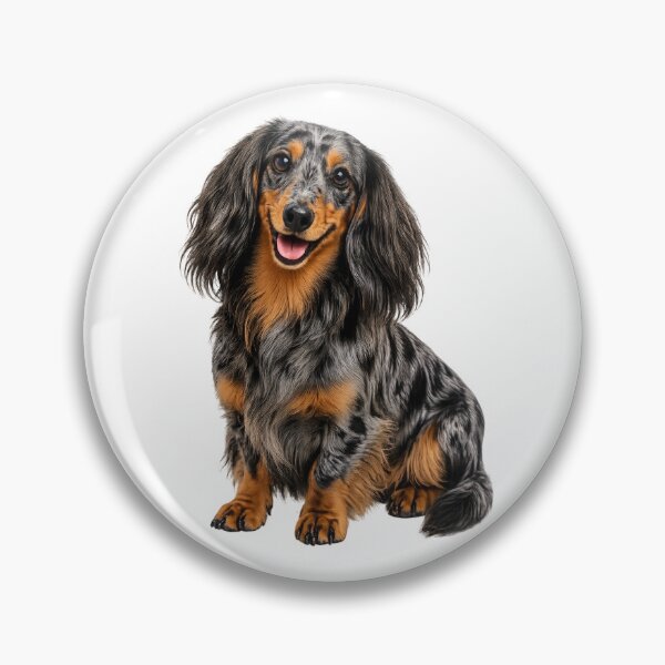 Item preview, Long haired dachshund dappled dog designed and sold by BackgroundND.