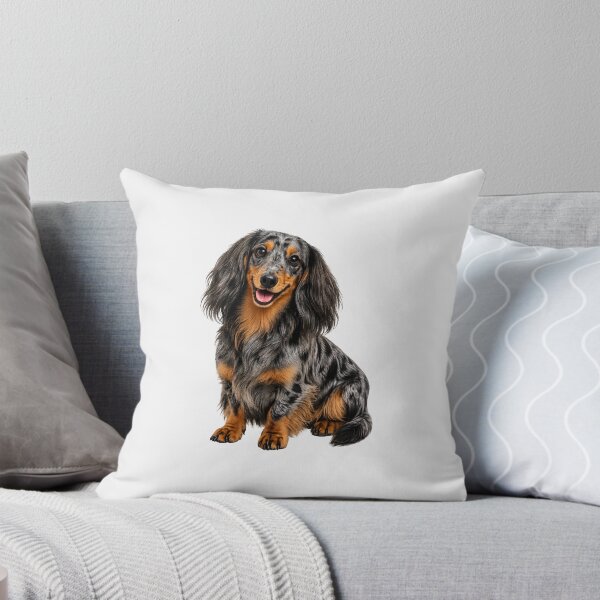 Item preview, Long haired dachshund dappled dog designed and sold by BackgroundND.