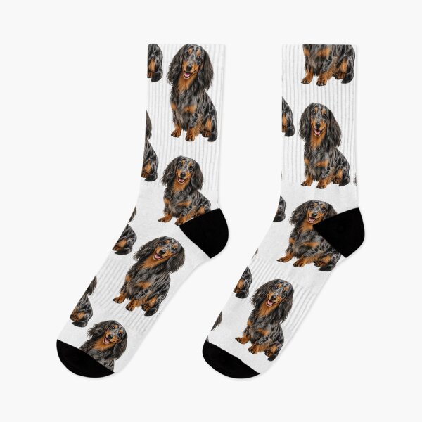 Item preview, Long haired dachshund dappled dog designed and sold by BackgroundND.