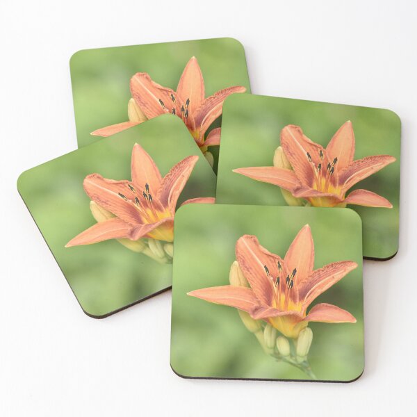 Item preview, Warm Orange Daylily Macro with Soft Green Bokeh designed and sold by TathataPhotos.