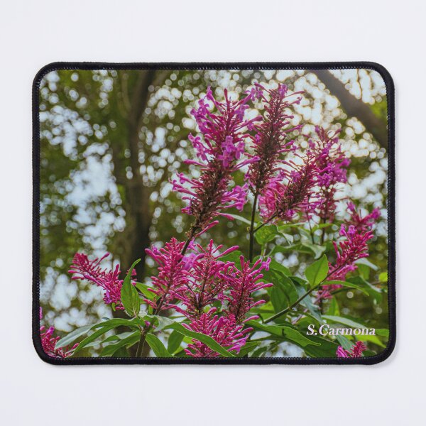 Item preview, Vibrant Magenta Wildflowers in Forest Light Art designed and sold by AuraInkSC.
