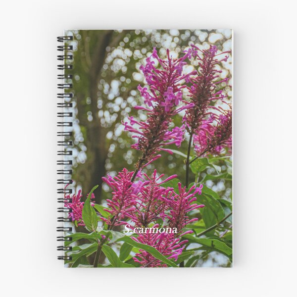 Item preview, Vibrant Magenta Wildflowers in Forest Light Art designed and sold by AuraInkSC.