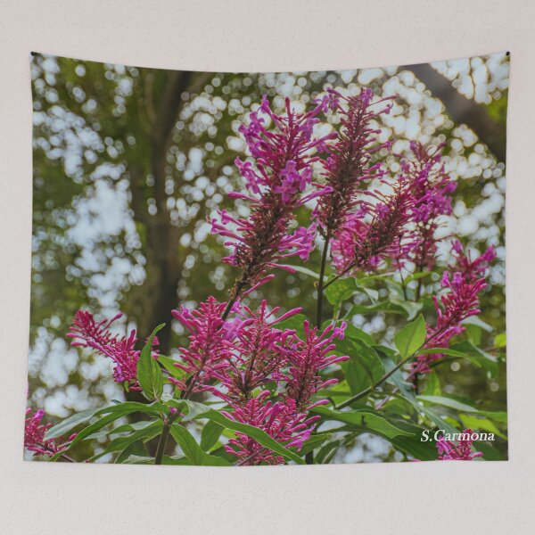 Item preview, Vibrant Magenta Wildflowers in Forest Light Art designed and sold by AuraInkSC.