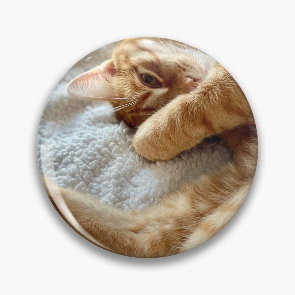 Item preview, Orange Cattatude designed and sold by tdonuts16.