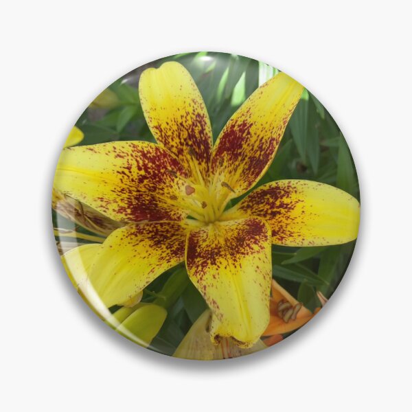 Item preview, Lily designed and sold by Amanda1775.