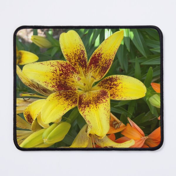 Item preview, Lily designed and sold by Amanda1775.