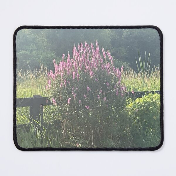 Item preview, Evening Rays designed and sold by Abeink1030.