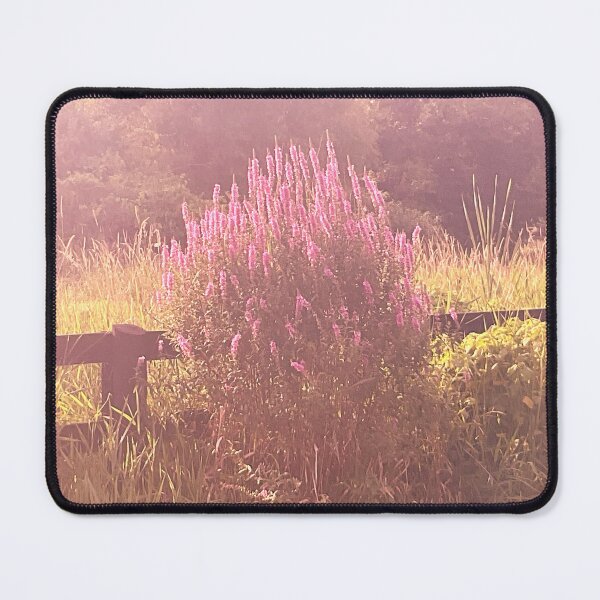 Item preview, Evening Rays 2 designed and sold by Abeink1030.