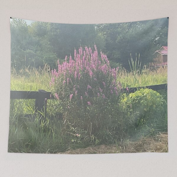 Item preview, Evening Rays 3 designed and sold by Abeink1030.