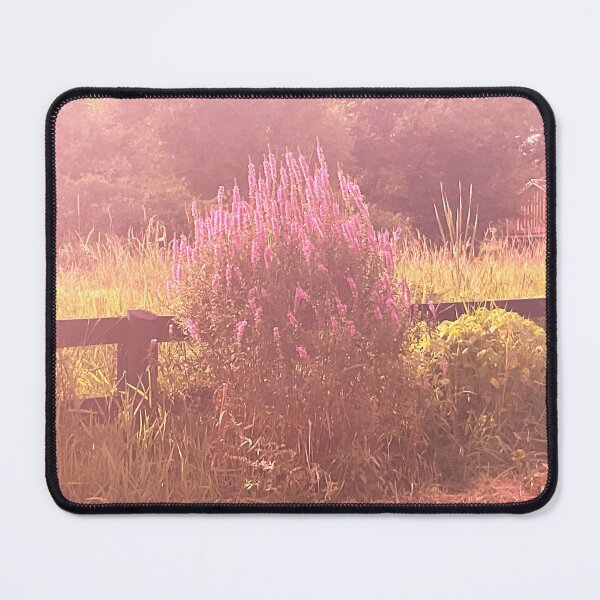 Item preview, Evening Rays 4 designed and sold by Abeink1030.