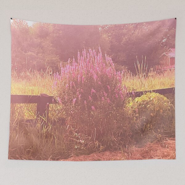 Item preview, Evening Rays 4 designed and sold by Abeink1030.