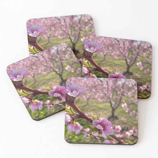 Item preview, Blossom designed and sold by tdonuts16.