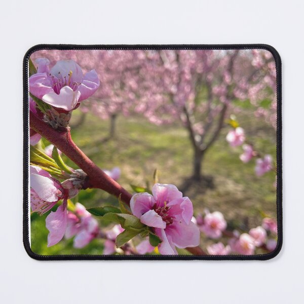 Item preview, Blossom designed and sold by tdonuts16.