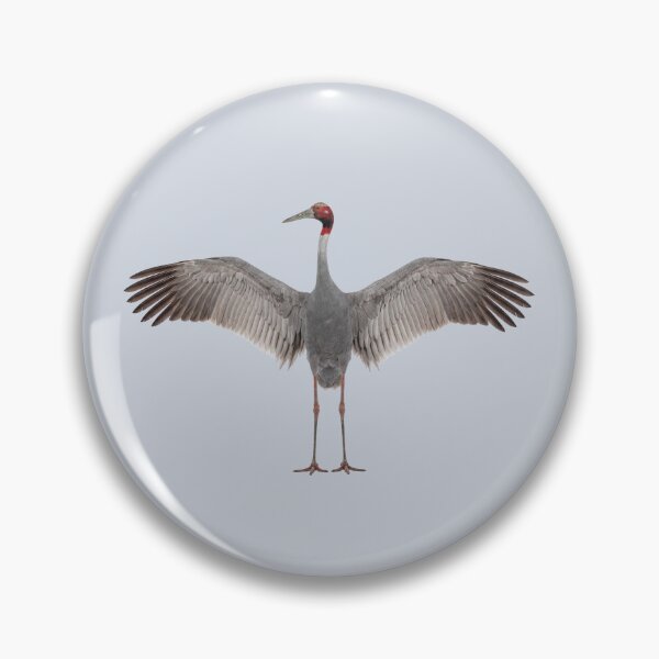 Item preview, Sarus Crane designed and sold by ArunDandiboina.