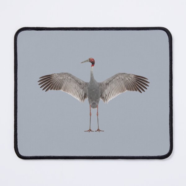 Item preview, Sarus Crane designed and sold by ArunDandiboina.