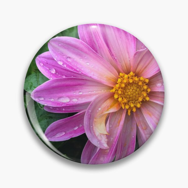 Item preview, Petal Drops designed and sold by tdonuts16.