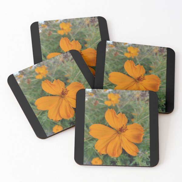Item preview, Orange Cosmos Sulphureus Flower designed and sold by pbchan.