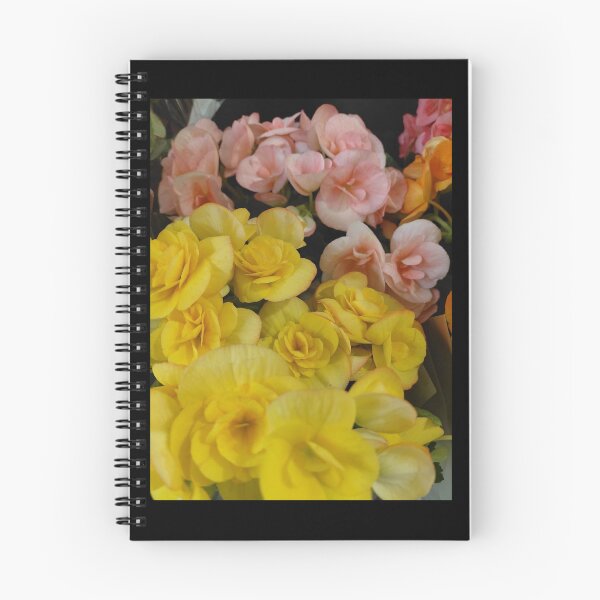 Item preview, Begonia Elatior/ Rieger Begonias designed and sold by pbchan.