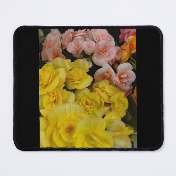 Item preview, Begonia Elatior/ Rieger Begonias designed and sold by pbchan.