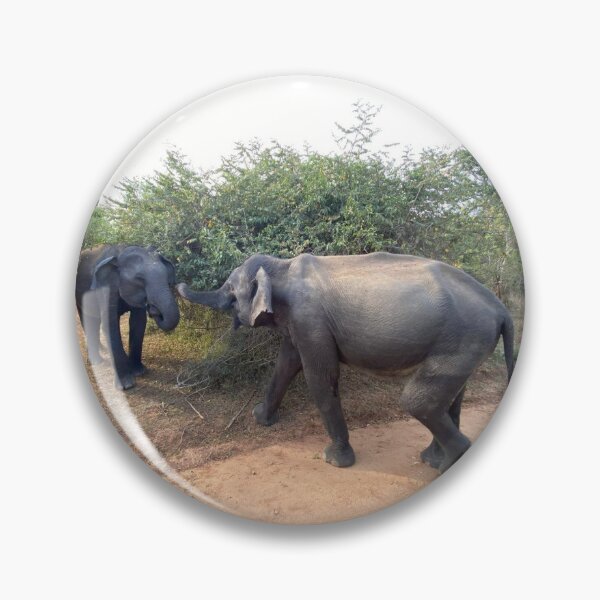 Item preview, Two elephants in the African Amazon designed and sold by pbchan.