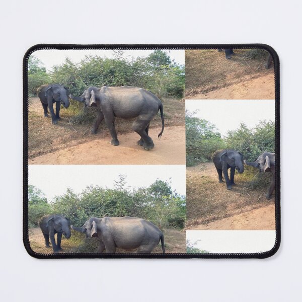 Item preview, Two elephants in the African Amazon designed and sold by pbchan.