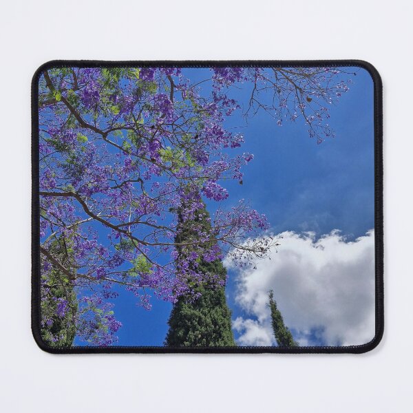 Item preview, spring bloom, blue jacaranda and cypress designed and sold by Lunar-Dragon.