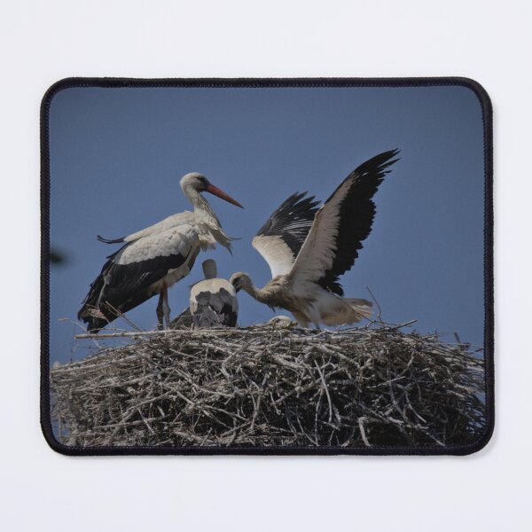 Item preview, Frozen reality - Beautiful nature 873 designed and sold by deep-sea-birds.