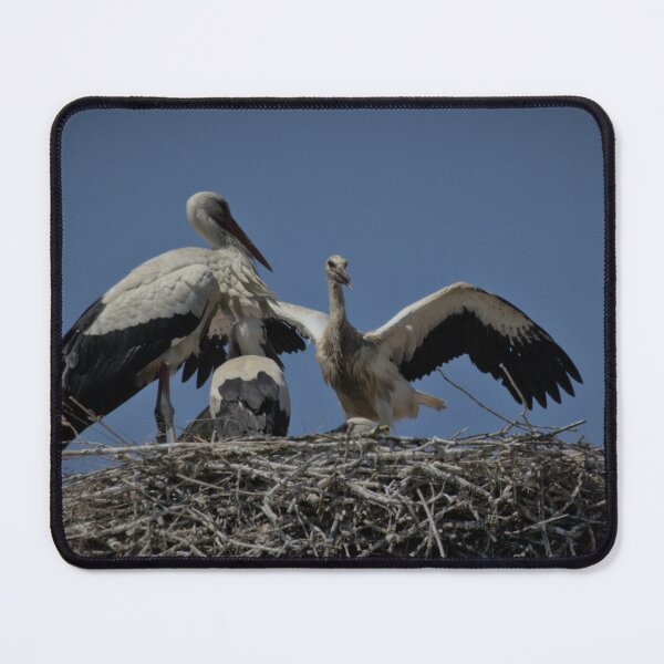 Item preview, Frozen reality - Beautiful nature 875 designed and sold by deep-sea-birds.