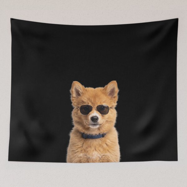 Item preview, Cute Baby Finnish Spitz Dog Wearing Sunglasses Funny designed and sold by RareLavender.